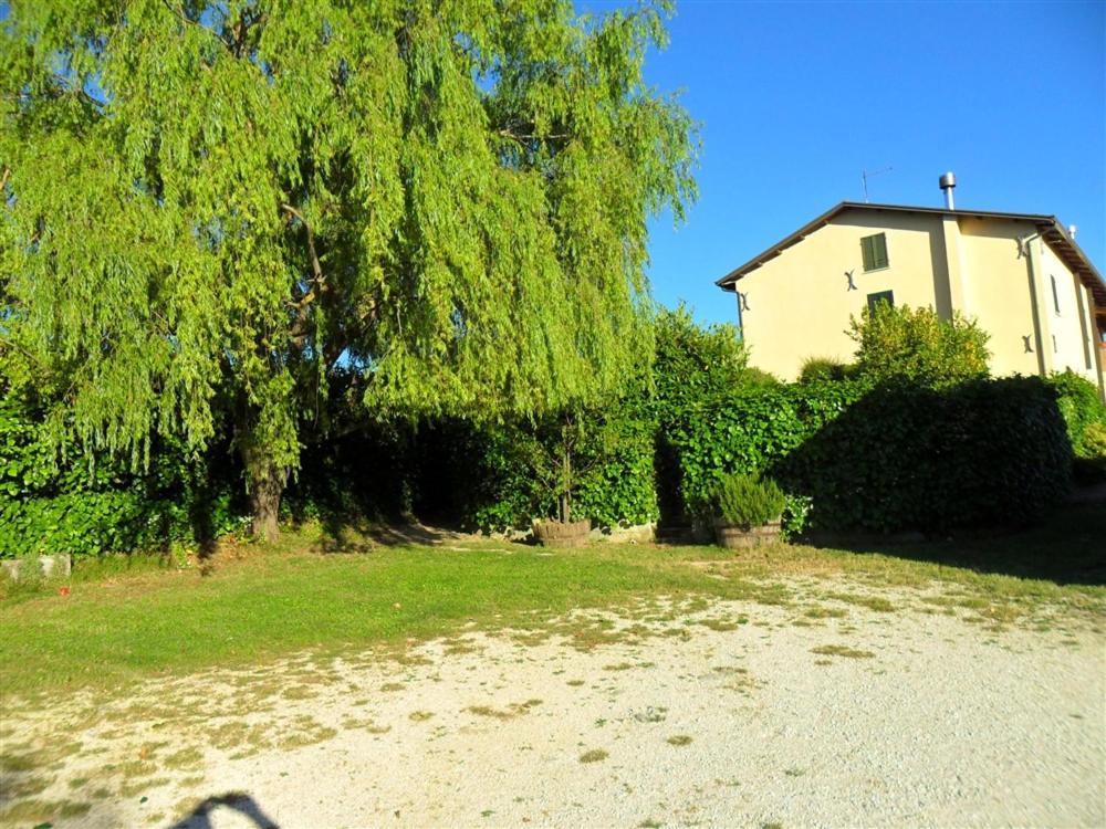 La Cinci Allegra Valfabbrica Esterno foto