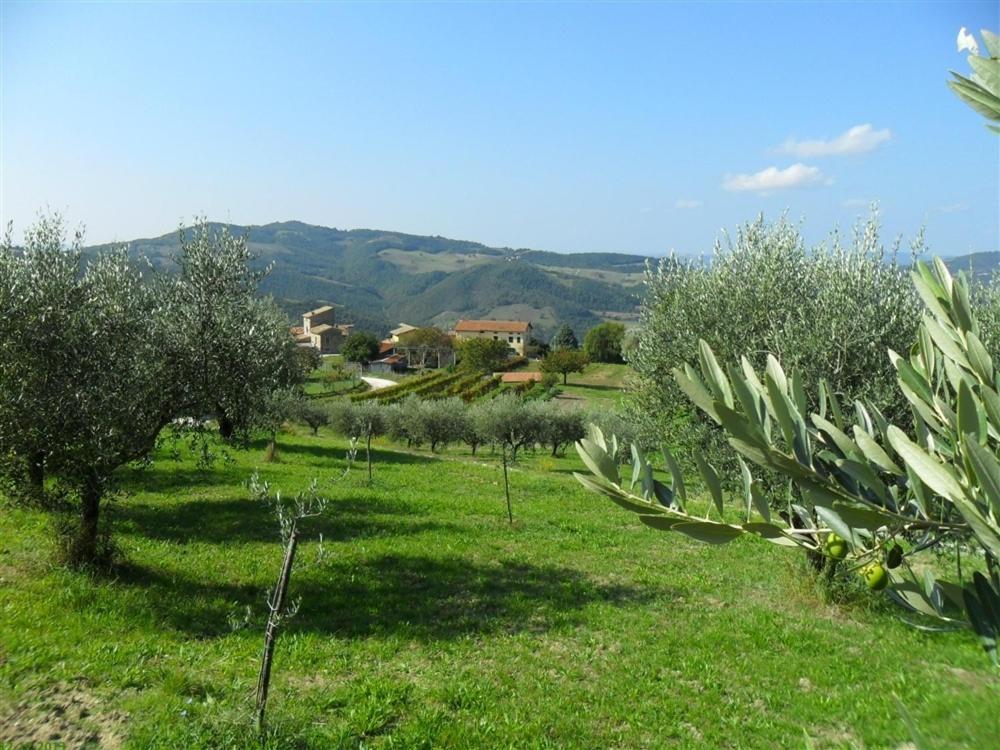 La Cinci Allegra Valfabbrica Esterno foto