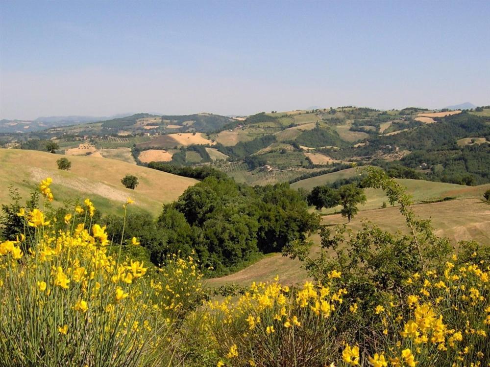 La Cinci Allegra Valfabbrica Esterno foto