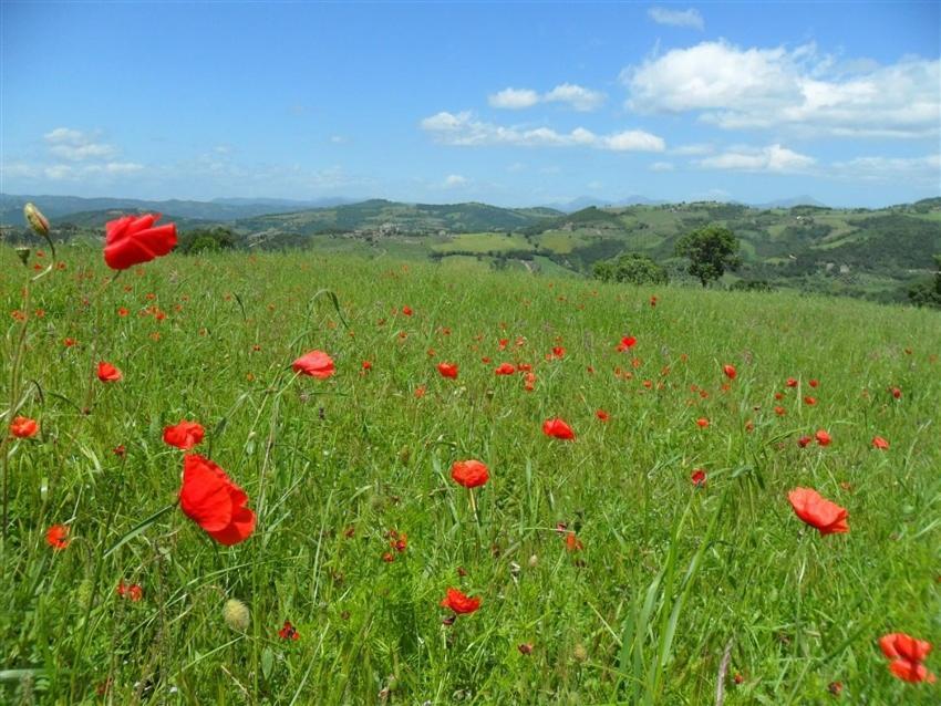 La Cinci Allegra Valfabbrica Esterno foto